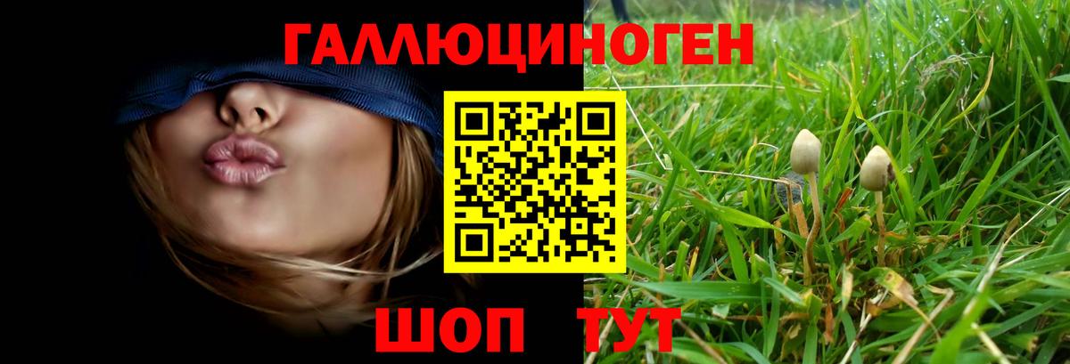 Псилоцибиновые грибы MAGIC MUSHROOMS  Вход с VPN  Псилоцибиновые грибы Cubensis  Красноармейск 